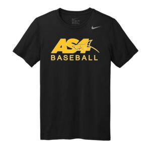Nike Team rLegend Tee