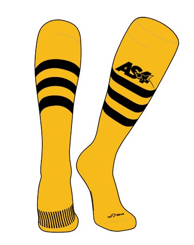 Custom AS4 Team Socks