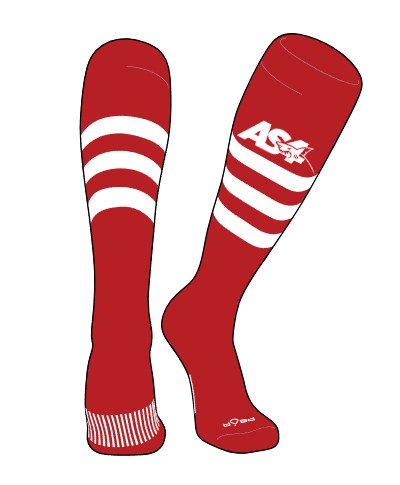 Custom AS4 Team Socks - Image 2